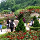 도당공원 이미지