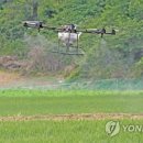 드론챔프 연합뉴스