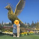 이디야 커피 무주점 | [일상 기록 2025년 #4] 갱이의 9월 ~ 10월 일상