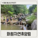 아이들과 화원자연휴양림 다녀온 후기 주차, 준비물, 엄마들의 현실 꿀팁