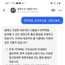 면역력 증가 이미지