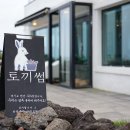 토끼썸