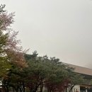 그린힐 | [2년 전 오늘] 그린힐CC 후기