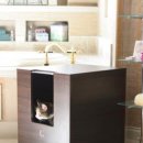 MODERN CAT 이미지