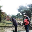 태우조경 네이버블로그