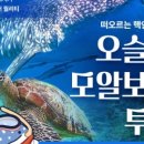 하노투어
