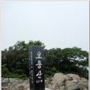 8월 근교산행(8/16일) 통도골 오룡산(계곡산행) 이미지