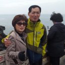 즐거운제주여행 Daum카페