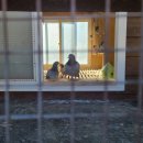 지장산 펜션 민박 이미지