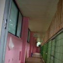 도기헤븐 이미지