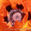 연세정신건강의학과의원 네이버블로그