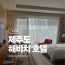 제주미니호텔 | 제주 해비치 호텔 후기｜슈페리어 트윈 아기랑 추천