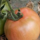 영민 농장 이미지