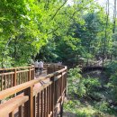 우면산3-13 이미지