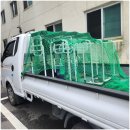 신지경로당 | [부산 부산진구 주간보호센터] 한울노인주간보호센터 딥다시니어 복합형 재활 운동 후기