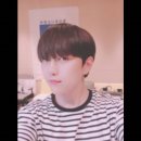 브이비엘 이미지