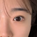 세븐일레븐 남양주별내점 | 별내 속눈썹펌 유지력 좋은 리안디 재방문율 할 수 밖에 없는이유