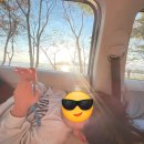네이쳐아이오닉