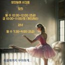 베이시스발레학원 이미지