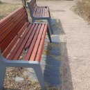 상록고등학교 이미지