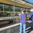 특별축사 이미지