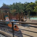 산새어린이공원 이미지