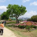 만남의광장(좌) 이미지