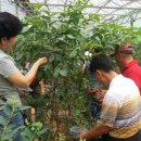 양명농장 이미지