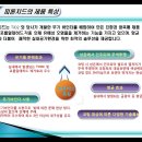 개미청소 Daum카페