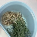 스토리 펜션 | 용인 펜션 독채 추천, 대가족도 가능한 에버스토리펜션 더락 후기💛