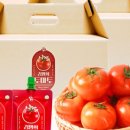토마토2 이미지