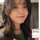 아이유헤어 이미지