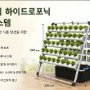 하이드로포닉