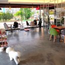 댕댕미장원 이미지