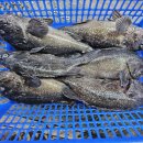 무기수산좌대낚시터 이미지