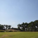 상사마을 티스토리