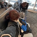 7th street | [뉴욕 5박6일](F)DNFA / 조스피자 / 7th Street Burger 그리고 뉴욕 안녕~!