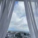 오프리르제주 | [제주] 오프리르 케이크 , 그리고 백솔루션 그 후기