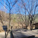 자연과우리펜션야영장 이미지