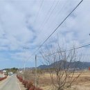 양덕동295 이미지