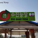 수진농장 이미지