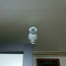 가정용 CCTV ip카메라 삼지아이티(주) 정직한기술의 HTI-NE01 강력추천합니다. 이미지