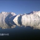 생명+중첩 이미지