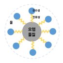 제오헤어 마포점