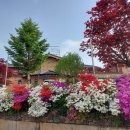 장양5리 경로당 이미지