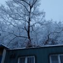 소양농장 이미지