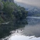 자인119안전센터 이미지