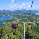 한방생태숲 이미지