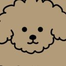 로힌(rohin) 이미지