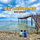 민박산장 인근(간이화장실) | 포항 오도리해수욕장 해루질 평상 주차 인근 맛집까지